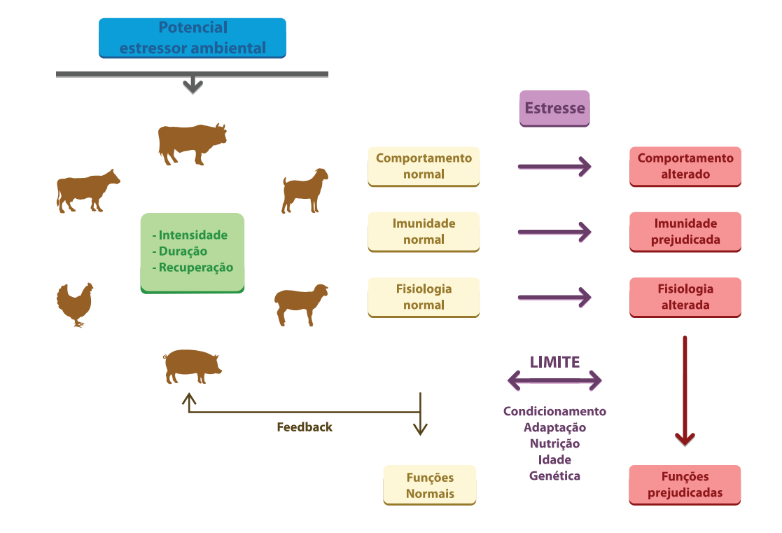 Sistema ILPF, demonstração sobre o bem-estar animal